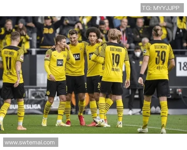 职业联赛最新积分榜分析WE战队以67分稳居第一名